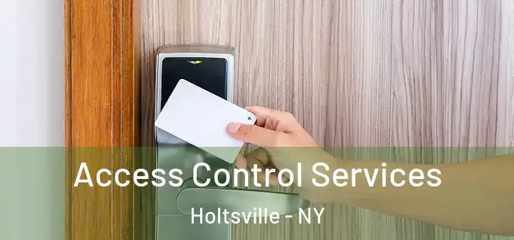  Access Control Services Holtsville - NY