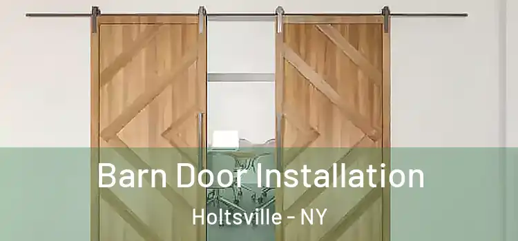  Barn Door Installation Holtsville - NY