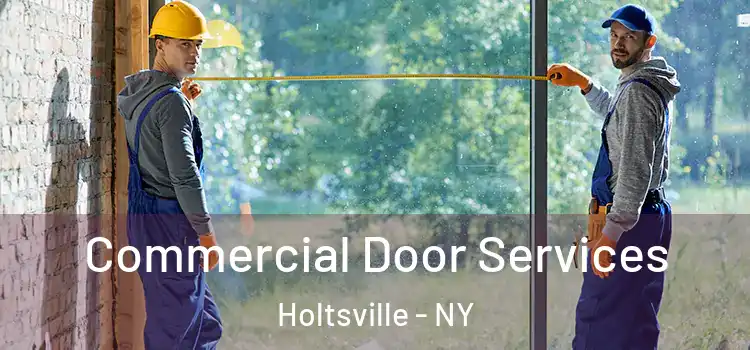  Commercial Door Services Holtsville - NY
