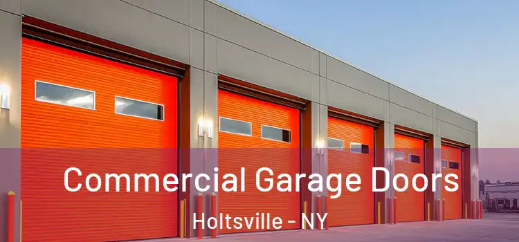  Commercial Garage Doors Holtsville - NY