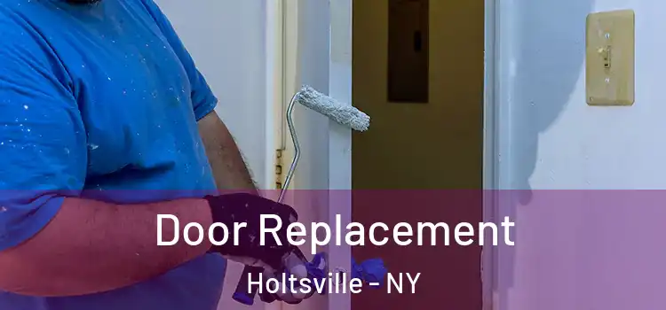  Door Replacement Holtsville - NY