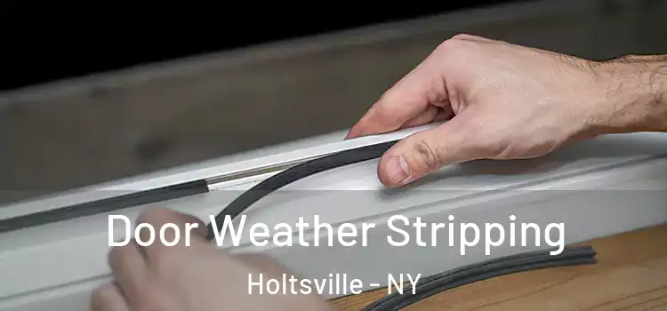  Door Weather Stripping Holtsville - NY