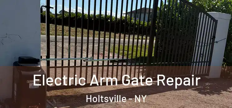  Electric Arm Gate Repair Holtsville - NY