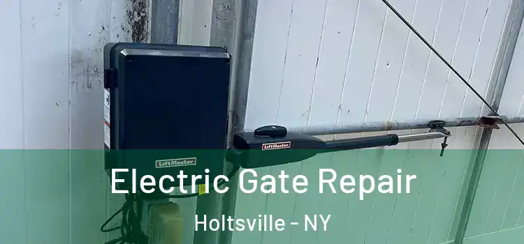  Electric Gate Repair Holtsville - NY