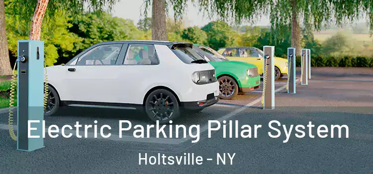  Electric Parking Pillar System Holtsville - NY