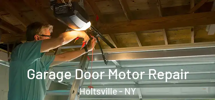  Garage Door Motor Repair Holtsville - NY