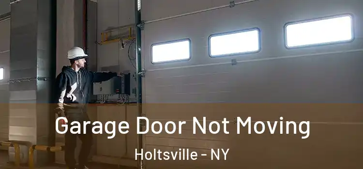  Garage Door Not Moving Holtsville - NY