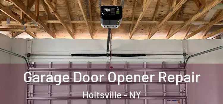  Garage Door Opener Repair Holtsville - NY