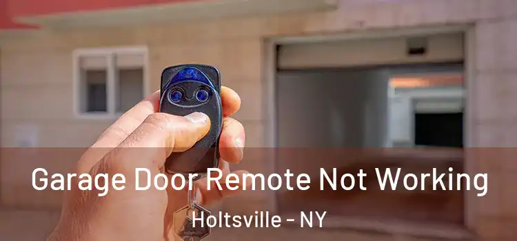  Garage Door Remote Not Working Holtsville - NY