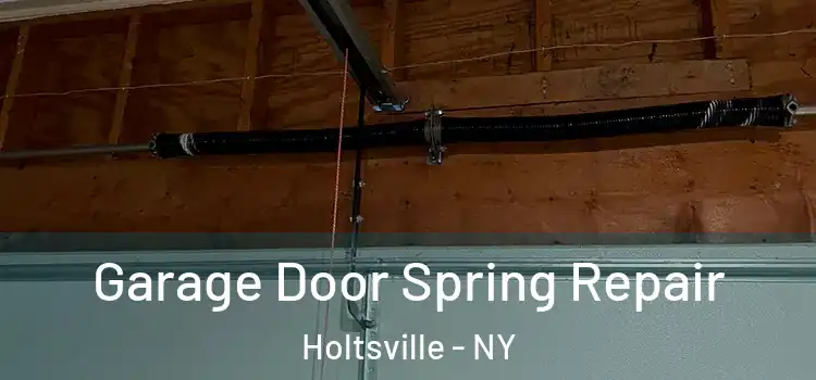  Garage Door Spring Repair Holtsville - NY