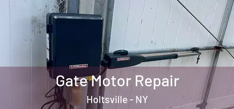  Gate Motor Repair Holtsville - NY