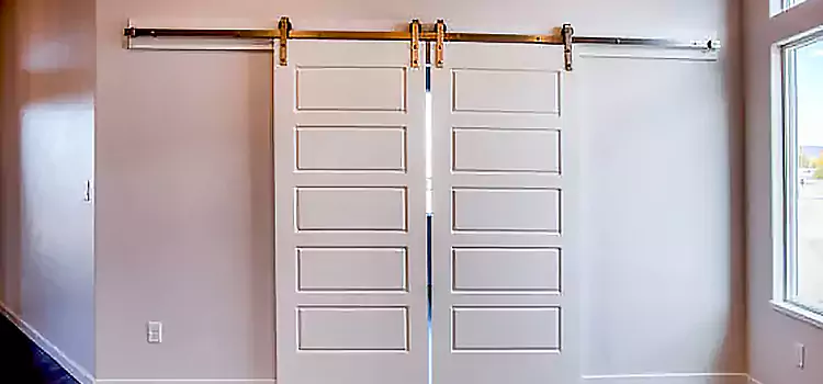 Glass Barn Door with Installation Hardware Kit Holtsville
