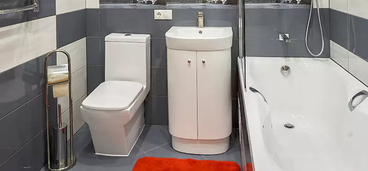 Hansgrohe Shaving Mirror Holtsville