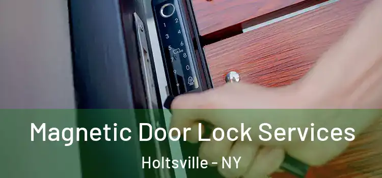  Magnetic Door Lock Services Holtsville - NY