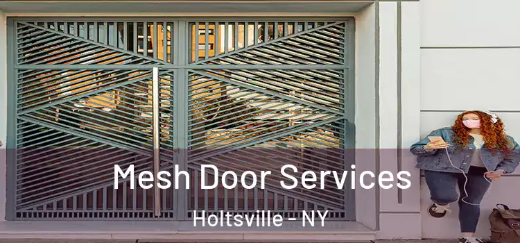  Mesh Door Services Holtsville - NY