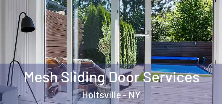  Mesh Sliding Door Services Holtsville - NY