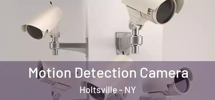  Motion Detection Camera Holtsville - NY