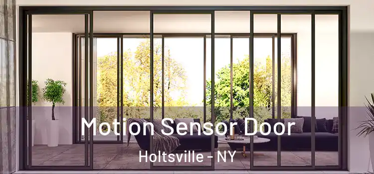 Motion Sensor Door Holtsville - NY
