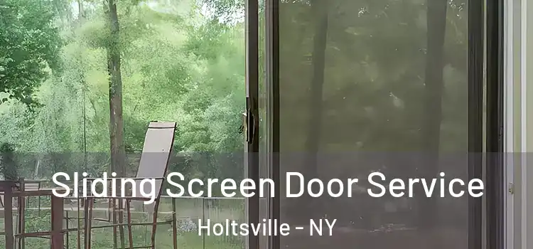  Sliding Screen Door Service Holtsville - NY